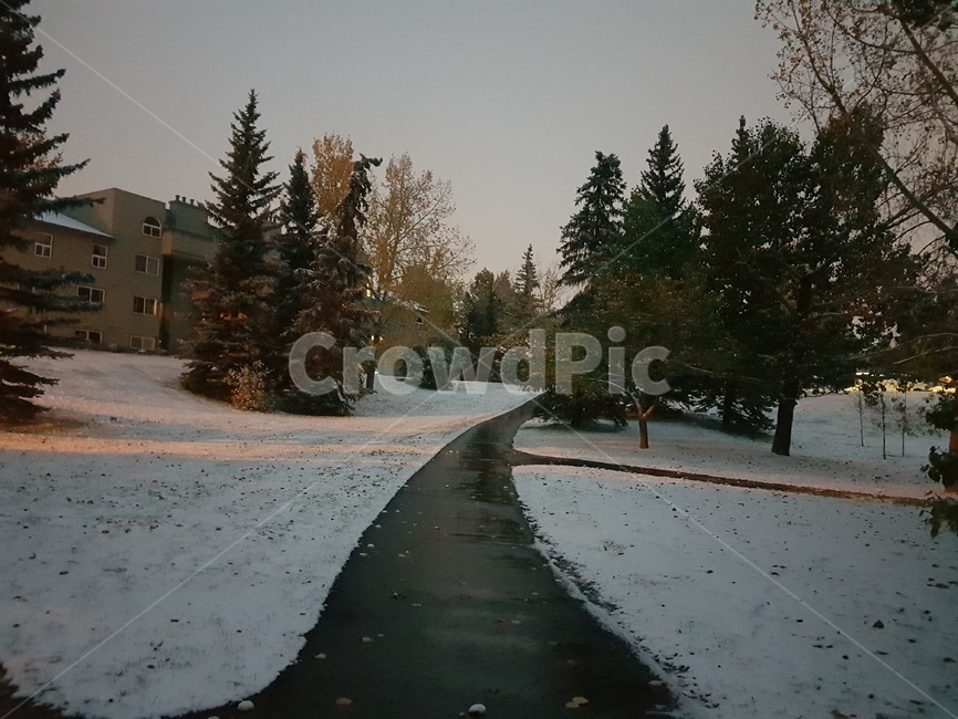 첫눈,눈,풍경,경치,캘거리,snow,겨울,계절,winter,season