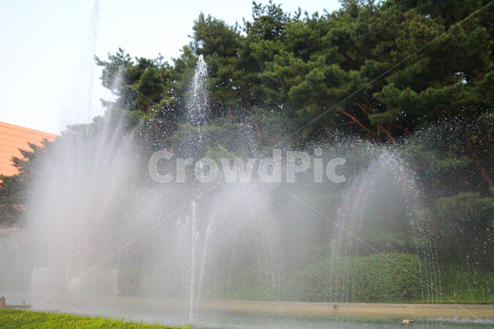 분수,분수대,물,공원,예술의전당,나무,소나무,자연,풍경,nature,landscape,water,fountain