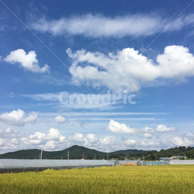 논,밭,시골,하늘,풍경,자연,자전거,비닐하우스,농사,농촌,구름,시골,마을,풍경,landscape,country,rural,town