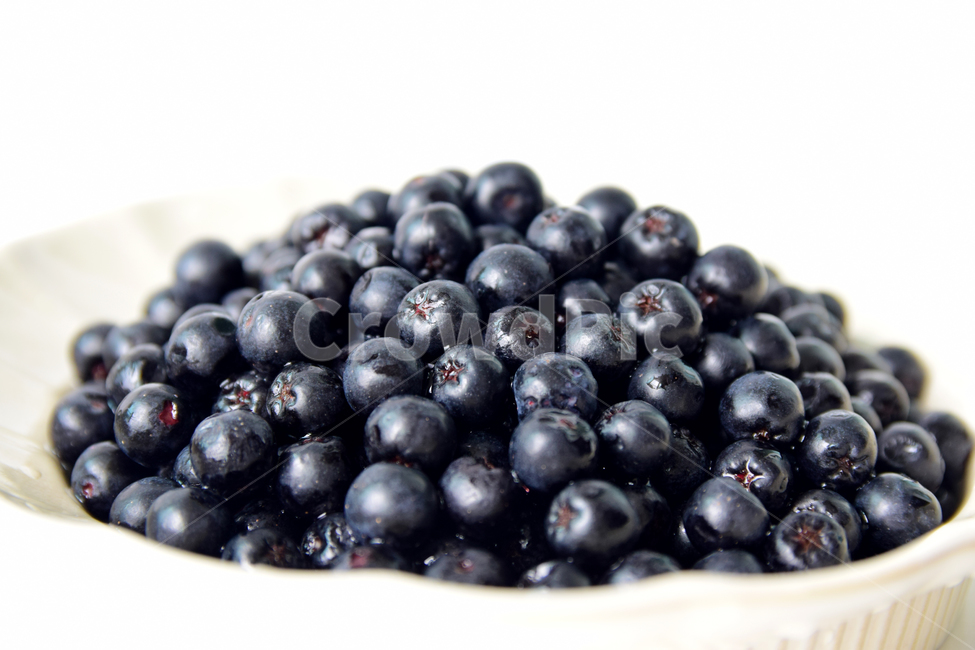 아로니아,아로니아베리,베리류,음식,식재료,과일,열매,베리,아로니아열매,접시,aronia,aroniaberry,plate,fruit,berry,food,과일,열매,fruit