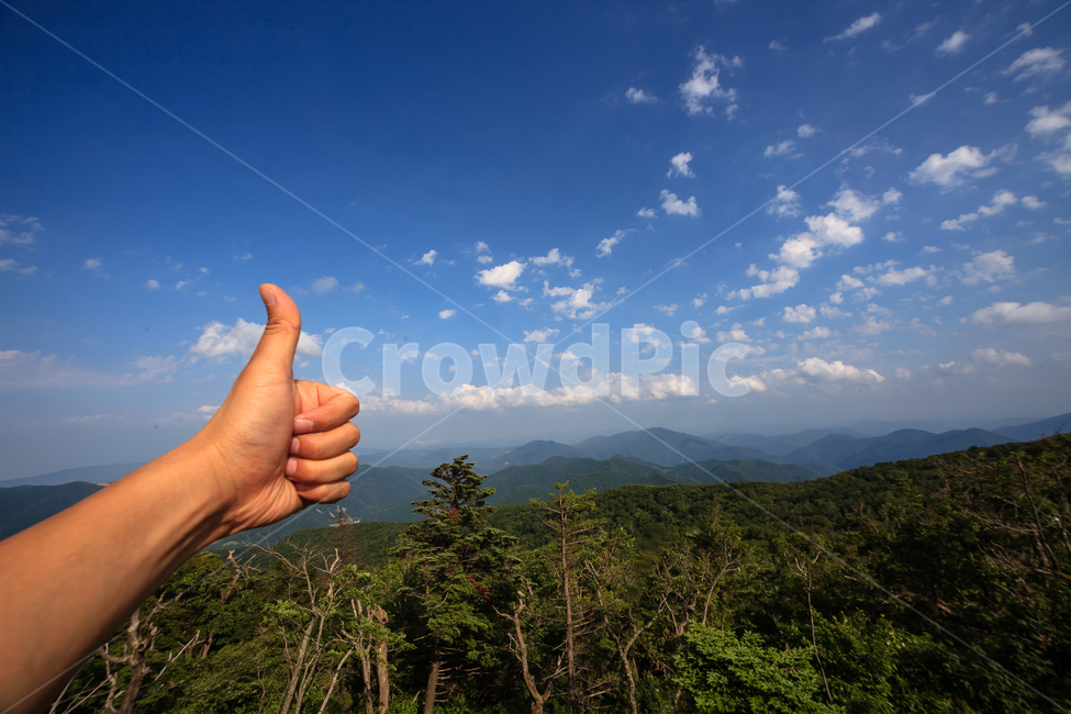 알펜시아,강원도,환경,농촌,구름,숲,공원,맑은,풍경,여름,자연,풍경,nature,landscape,사람,인물,인간,human,person,신체일부,몸,body