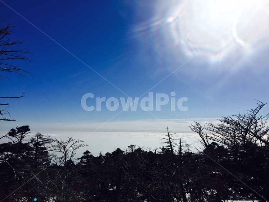 제주도,한사란,구름,nature,자연,light,빛,flare,플레어,햇빛,sunlight,옥외,outdoors