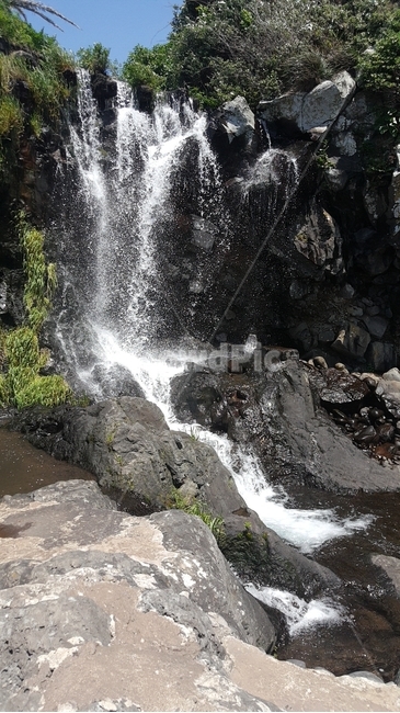 폭포,제주도,자연,물,시원함,숲속,산,자연,풍경,nature,landscape,water,outdoors,옥외,river,강,waterfall
