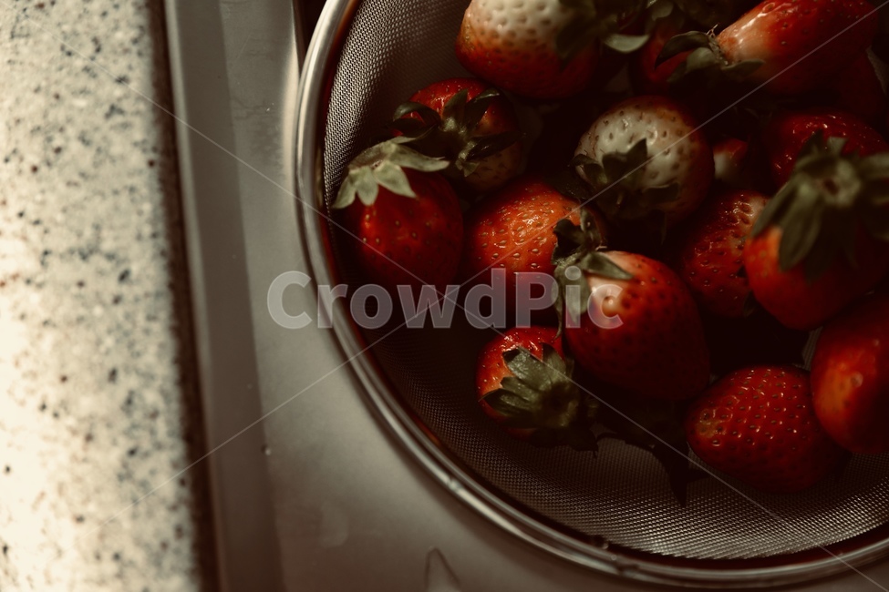 plant,식물,food,strawberry,딸기,fruit,과일,식품,과일,열매,fruit
