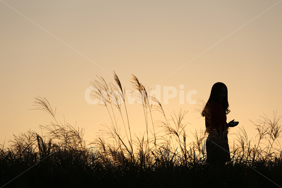 사람,실루엣,억새,하늘공원,노을,sunset,park,silhouette,woman,사람,인물,인간,human,person,여성,여자,woman,female,lady,인물실루엣,사람실루엣,character silhouette,human silhouette,plant,식물,grass,잔디,lawn,reed,갈대