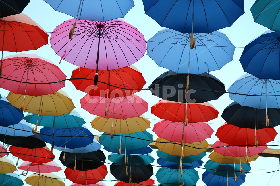 우산,비,그늘막,우산들,지붕우산,우산축제,하늘,허브아일랜드