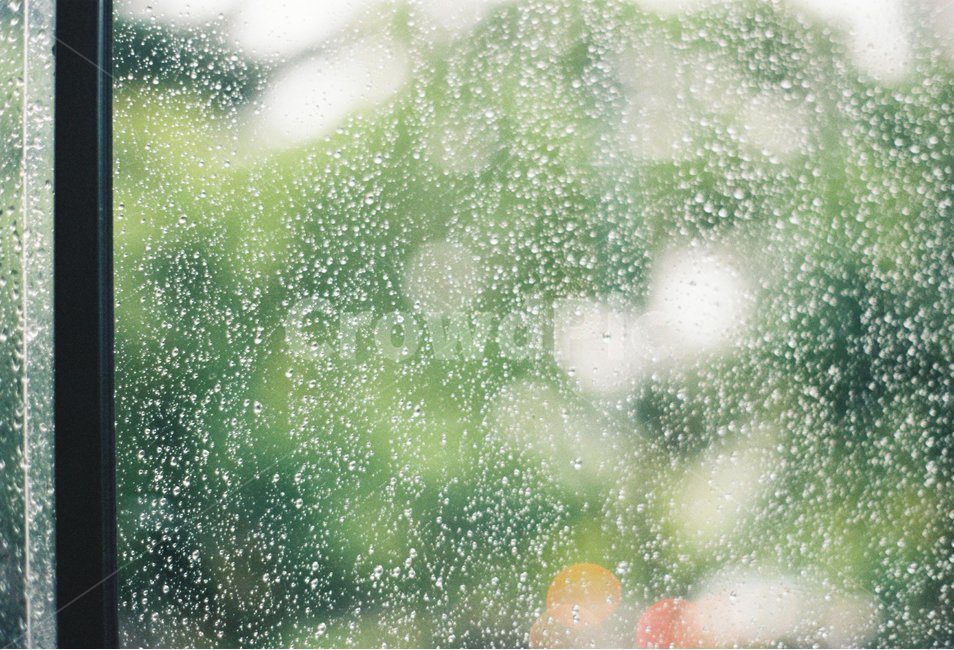 빗방울,비,raindrop,rain,여름비,창가,비,비오는날,rain,rainy