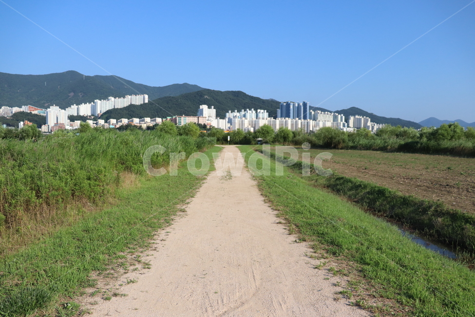 길,자연,풍경,road,nature