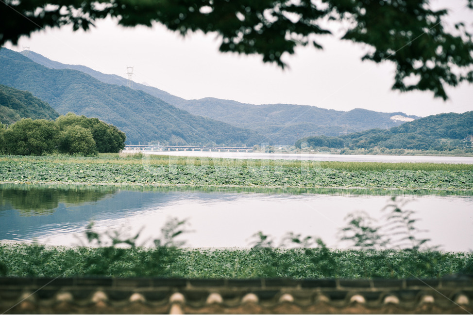 풍경,landscape,하늘,sky,강,river,여름,summer,구름,clouds,휴가,vacation,감성사진,자연,풍경,nature,landscape,한국자연풍경,한국자연경관,korea nature landscape,outdoors,옥외,land,땅,water,물