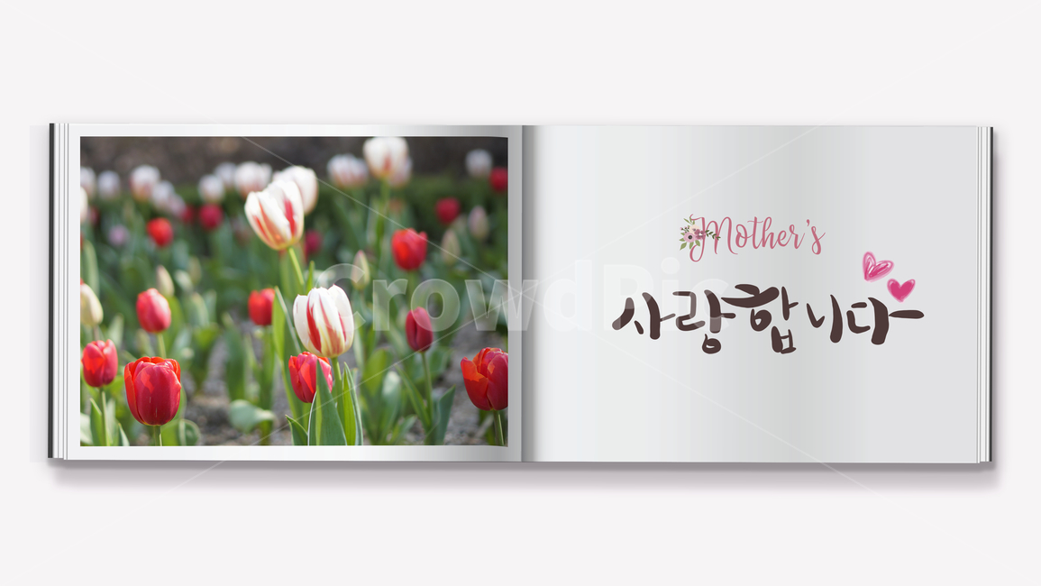 초대장,축제,파티,사랑,고백,카드,하트,마음,웹디자인,웹템플릿,템플릿,팝업,전단지,공지,알림판,알림,뉴스,홍보,광고,리플렛,쇼핑,쇼핑몰,온라인몰,할인,편지,메모,메시지,프레임,봄꽃,꽃,핑크,봄,수국,꽃송이,아름다운,시즌,꽃잎,날,계절,카피공간,뒷배경,배경,식물,빈공간,본문,제목,이벤트,빅세일,세일,판매,투어,기획,프로모션,행사,스페셜