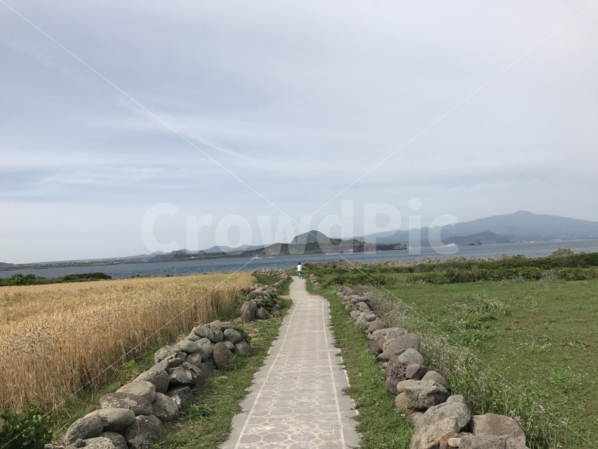 제주도,자연,무보정,가파도,봄,가을,자연,풍경,nature,landscape,제주도,jeju,jeju island,ground,바닥,rubble,파편,wall,벽