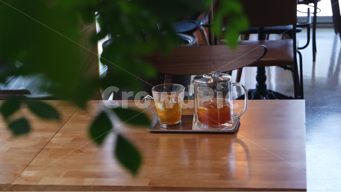 티,차,시원한음료,카페,허브차,아이스음료,tea,cafe,음료,커피,카페,coffee,cafe