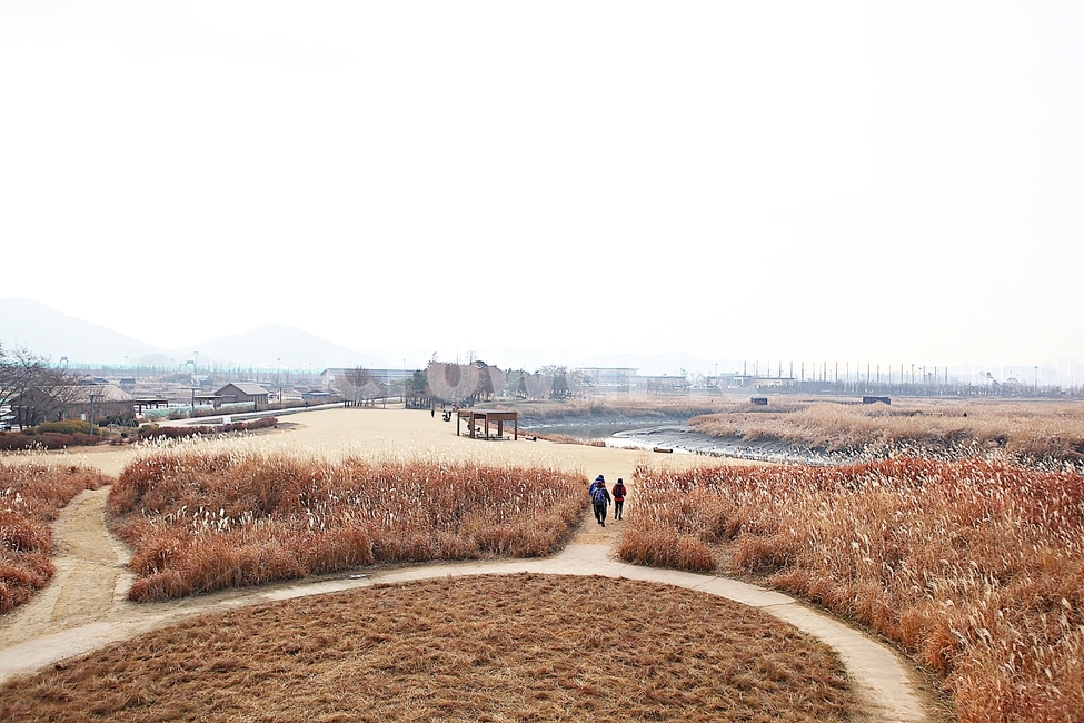 소래습지생태공원,갯골,뻘,갯벌,갈대,식믈,자연,풍경,잡초,풀,가을,바다물,생태공원,공원