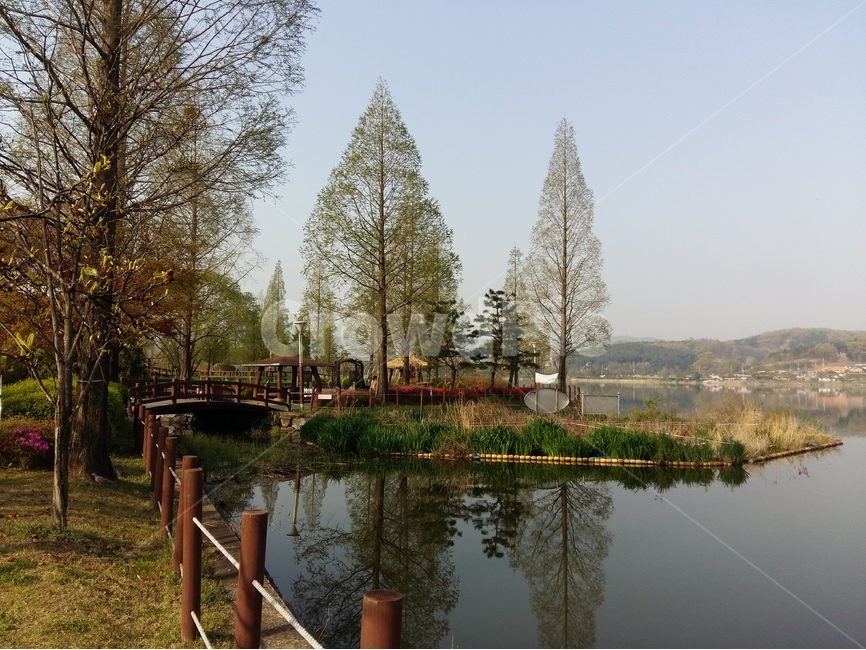 신정호수,물,나무,봄,연두,아침,자연,풍경,nature,landscape,한국자연풍경,한국자연경관,korea nature landscape,tree,plant,식물