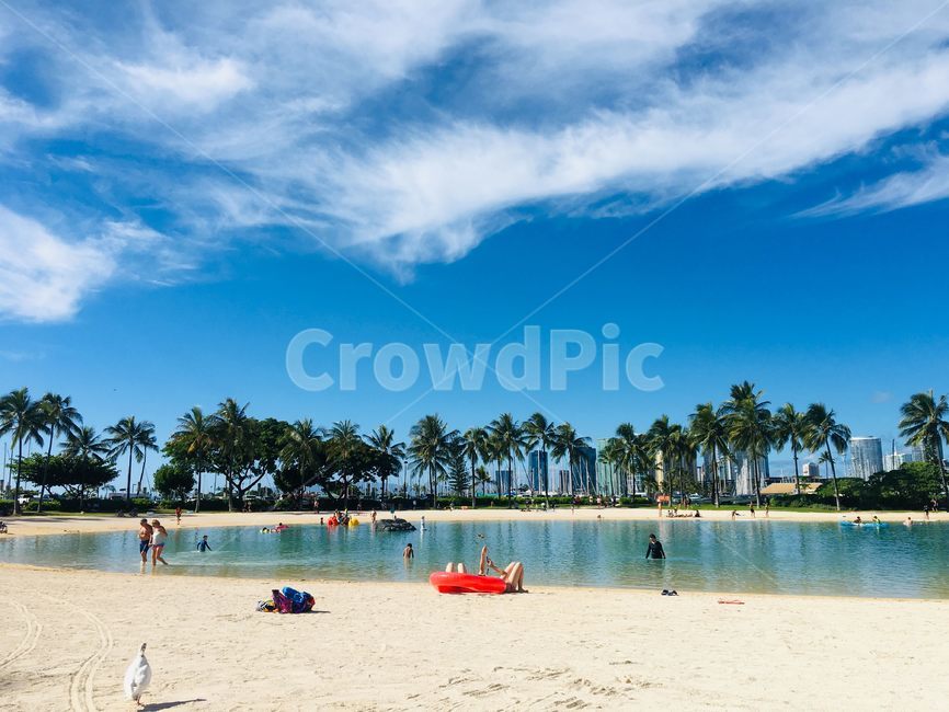 hawaii,beach,summer,여름,tropical,ocean,바다,하늘,blue,sky,비치,물놀이,palmtree,야자수,맑은,sunny,와이키키,휴양지,waikikibeachresort,하와이,hiltonhawaiianvillage,리조트,vacation,구름,cloud,고요한,잔잔한