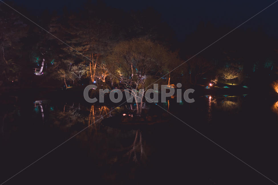 동경,경주,반영,관광지,월지,자연,풍경,nature,landscape,야경,밤,nightscape,night,outdoors,옥외