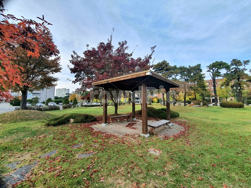 정자,쉼터,단풍,낙엽,가을,가을풍경,하늘,소풍,나무,가을,계절,fall,autumn,season,porch,현관,patio,안마당