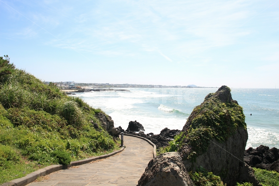 통로,walkway,outdoors,제주도,산책로,path,자연,풍경,nature,landscape
