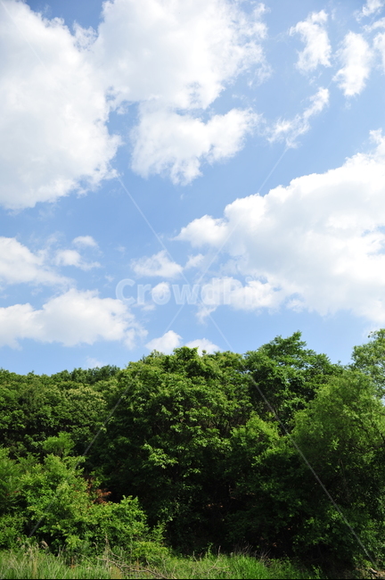 nature,자연,outdoors,옥외,weather,sky,하늘,cloud,구름,자연,풍경,nature,landscape,날씨,cumulus,적운
