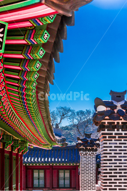 선,단청,문화유산,고궁,패턴,처마,한국전통,한국문화,korean traditional,korean culture,건축물,건물외관,exterior,building,structure,architecture,construction