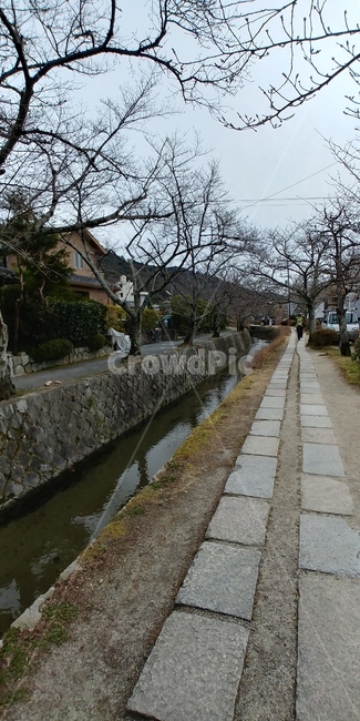 일본,철학의길,교토,kyoto,road,japan,자연,풍경,nature,landscape,path,통로