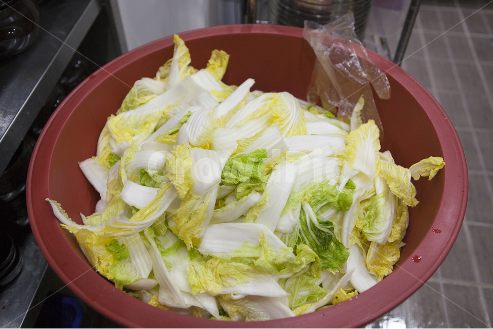 배추,겉절이,김치,김장,김장김치,음식,식재료,요리,food,cook,meal,dishes,food reserves,채소,야채,vegetables