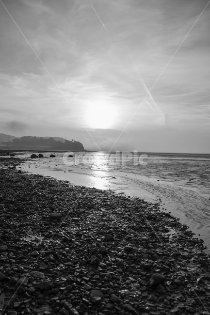 nature,자연,light,빛,flare,자연,풍경,nature,landscape,흑백,모노톤,monochrome,black and white,플레어,outdoors,옥외