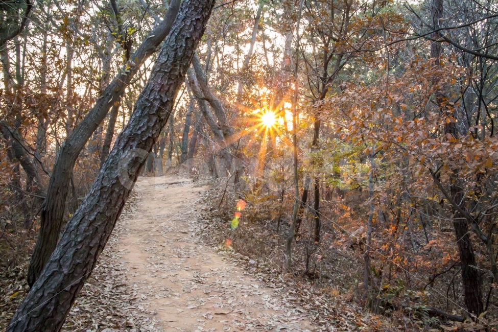 풍경,일몰,태양,산,길,자연,풍경,nature,landscape,가을,계절,fall,autumn,season,flare,플레어,light,빛,ground,바닥,road,도로,dirt road,흙길,gravel,자갈
