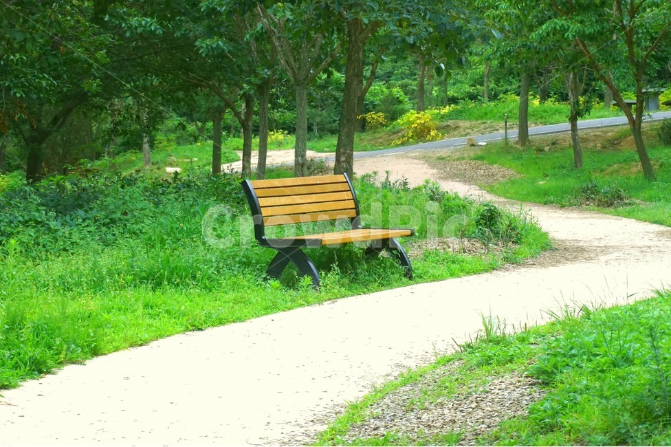 벤치,그린,공원,길,나무,bench,green,park,outdoor,자연,풍경,nature,landscape,park bench,공원 벤치