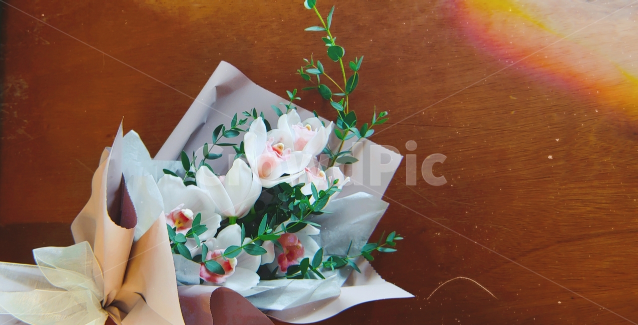 꽃,선물,감동,마음,진심,꽃,flower,기념일,축하,anniversary,congratulation,celebrate,celebration