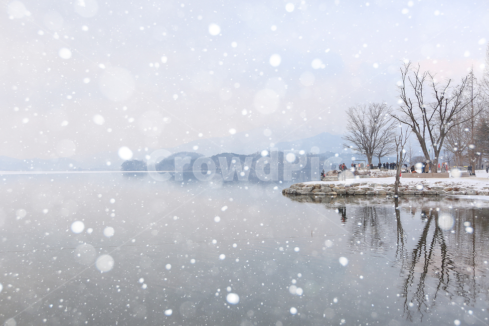 겨울,눈,설경,두물머리,나무,winter,snow,tree,겨울,계절,winter,season,자연,풍경,nature,landscape,사람들,대중,군중,other people,crowd,감성,sensible,feeling,outdoors,옥외