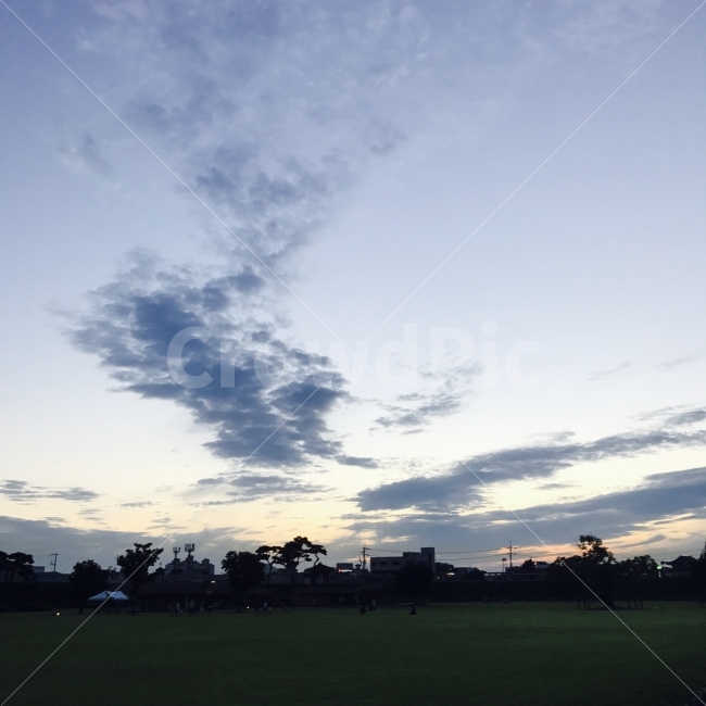 sunset,노을,하늘,땅,구름,cloud,grass,잔디,도시,풍경,city,landscape,plant,식물,lawn