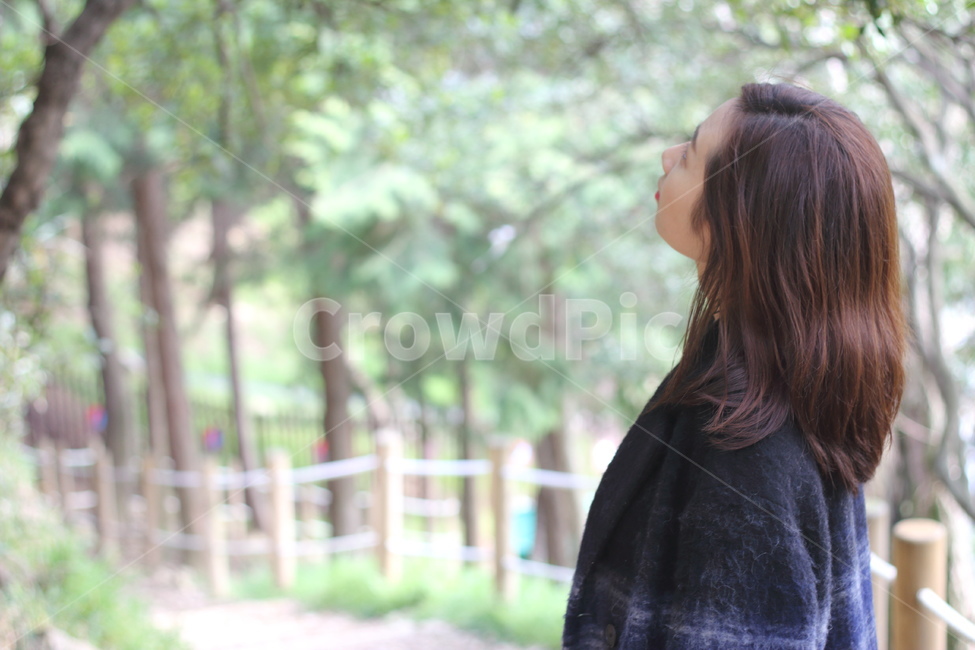 숲,뒷모습,여자뒷모습,forest,숲길,road,산책,women,옆모습,side,woods,사람,인물,인간,human,person,여성,여자,woman,female,lady
