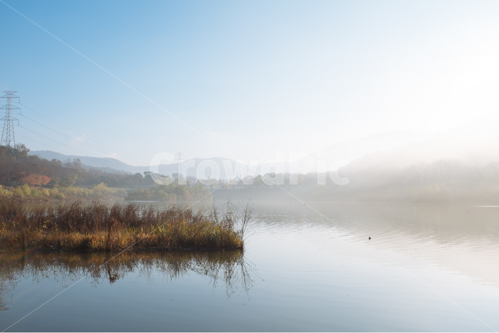 물안개,아침공원,아침햇살,연못,인천대공원,오리,홀로나무,자연,풍경,nature,landscape,한국자연풍경,한국자연경관,korea nature landscape,water,물,outdoors,옥외,land,땅