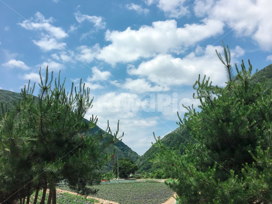 하늘,구름,산,초록,여름,자연,햇살,해,나무,자연,풍경,nature,landscape,outdoors,옥외,garden,정원
