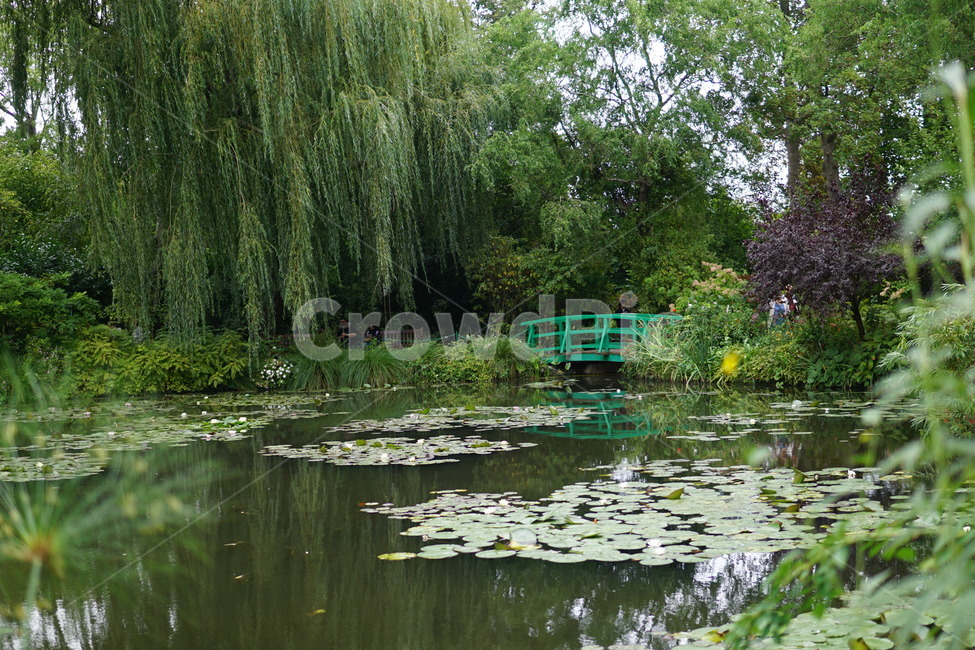 plant,식물,tree,나무,nature,자연,outdoors,옥외,water,물,정원,garden,수련,waterlily,연못,pond,lake,호수,다리,bridge,전원적인,시골,rural,버들