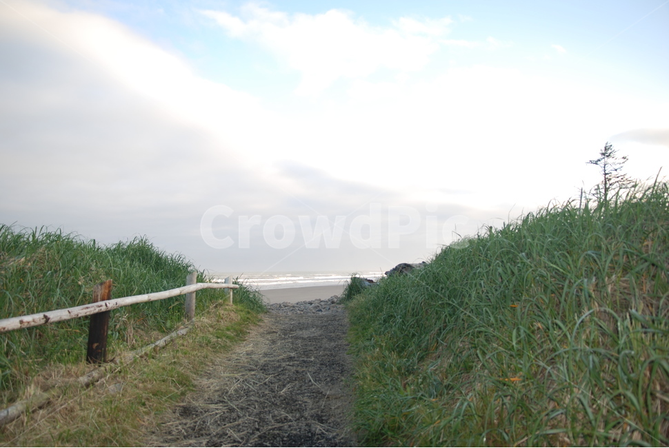 배경,background,경치,풍경,해변,길,하늘,바다,풀,모레,모래,sand,ocean,road,sky