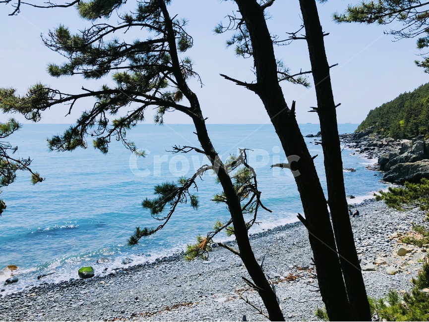 자연,바다,바닷가,해운대,파도,하늘,파란바다,푸른바다,숲,풀,여름