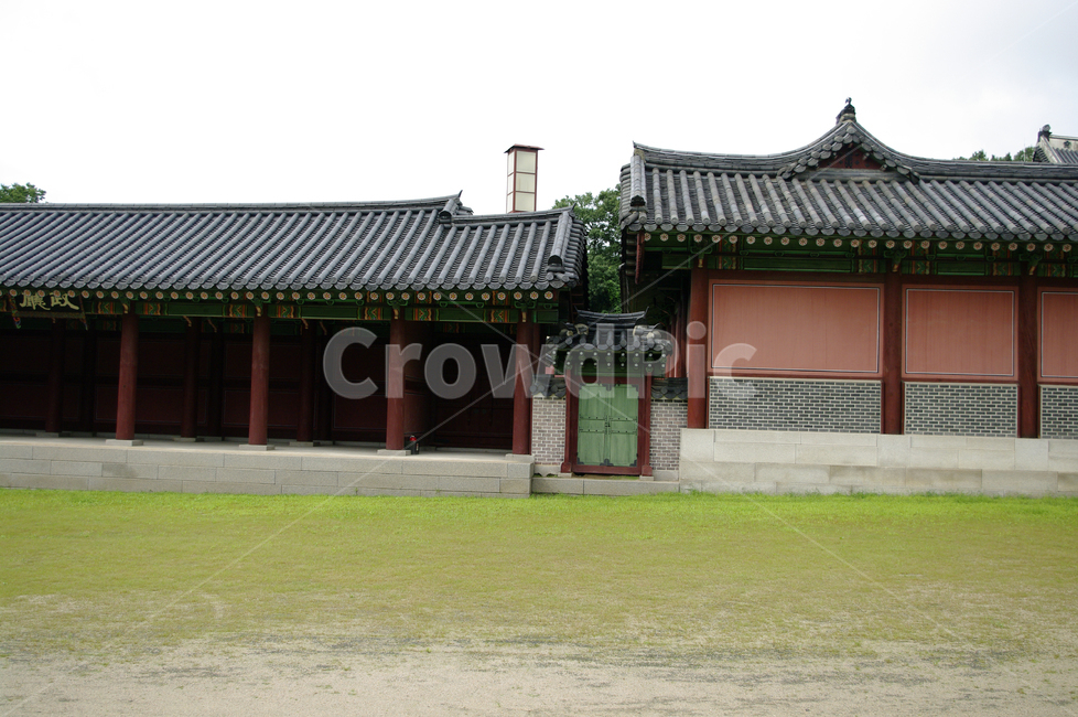 창덕궁,고궁,한옥,전통가옥,기와지붕,건축,traditional,나무,한국전통,한국문화,korean traditional,korean culture,랜드마크,landmark,tourist attraction,한국랜드마크,한국관광지,한국명소,korea landmark,korea tourist attraction,건축물,건물외관,exterior,building,structure,architecture,construction