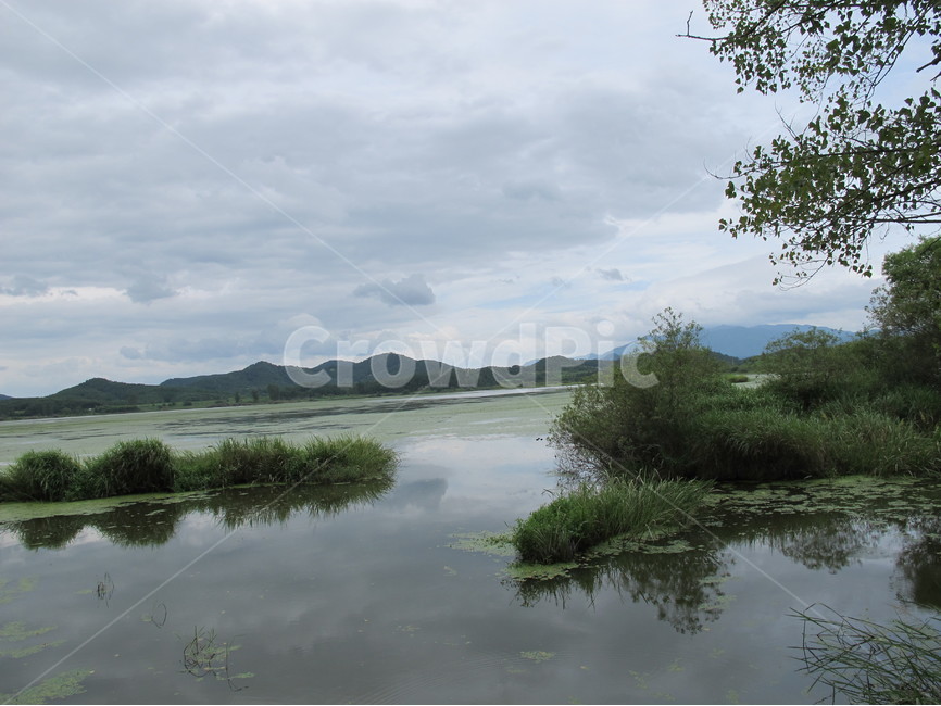 경남,창녕,우포늪,소벌,늪,생태공원,nature,swamp,자연,풍경,nature,landscape,한국자연풍경,한국자연경관,korea nature landscape,land,땅,outdoors,옥외,water,물