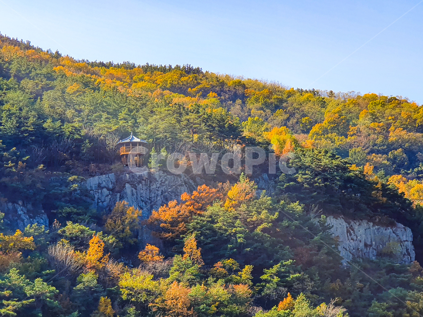 nature,자연,outdoors,옥외,정자,가을,산,나무,풍경,쉼터,계절,바위,절벽,색감,빛,가을,계절,fall,autumn,season,자연,풍경,nature,landscape