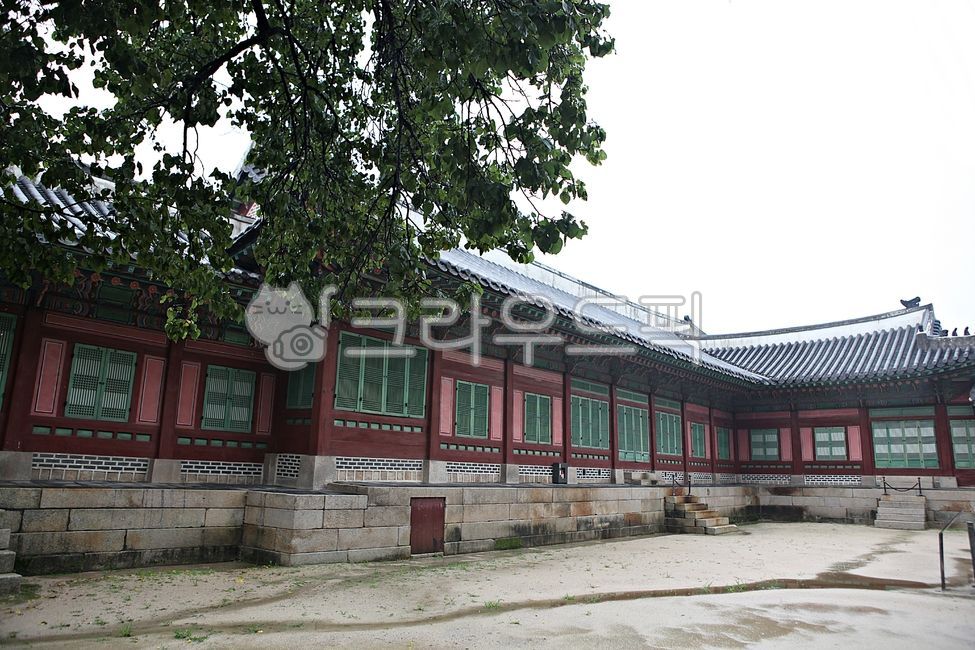 경복궁,궁,집,전통집,기와집,한옥,건물,건축물,풍경