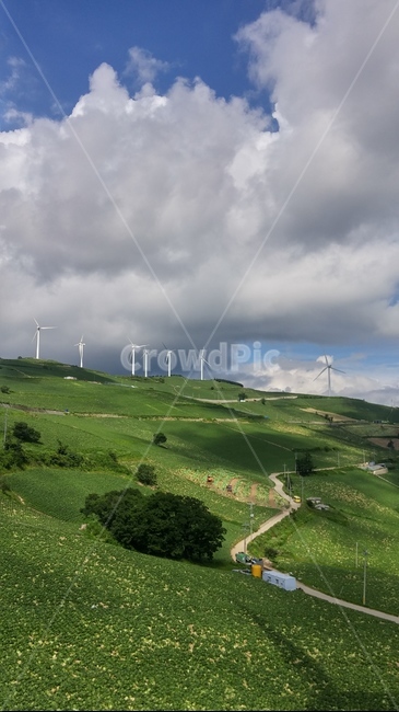 가을,하늘,태백,바람언덕,바람,고냉지,풍력,발전,자연,풍경,nature,landscape,산업,industry,industrial,에너지산업,energy industry,motor,모터,engine,엔진,machine,기계,outdoors,옥외