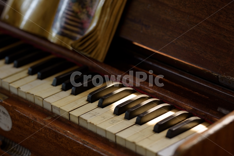 감성,풍경,피아노,햇살,따뜻함,piano,landscape,악기,음향기기,musical instrument,musical equipment