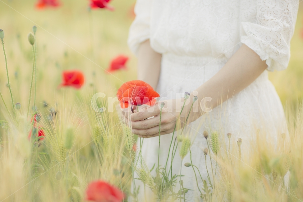 양귀비,꽃,식물,빨강,색감,양귀비꽃,모델,출사,사진,식물,자연,plants,nature,꽃,flower,사람,인물,인간,human,person,신체일부,몸,body,여성,여자,woman,female,lady,감성,sensible,feeling