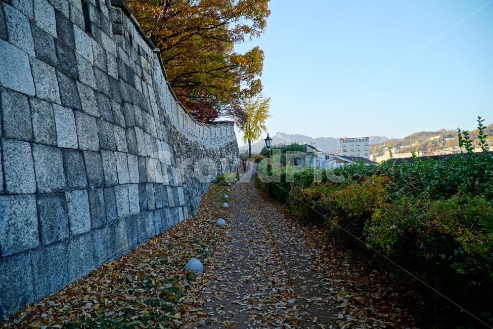 서울,코리아,한국,성벽,성곽,한양도성,seoul,korea,캐슬,성,castle,가을,계절,autumn,fall,season,자연,nature,식물,나무,풍경,plants,tree,landscape,하늘,sky,blue,낙엽,공원,산책,등불,전깃불,가로등,건물,빌딩,도시,building,city,시티,문화재,유적지,한국전통,한국문화,건축,토목,단풍,조선시대,조선왕조,히스토리,history,역사,한국풍경,한국자연,한국적인,한국전통,한국문화,korean traditional,korean culture,건축물,건물외관,exterior,building,structure,architecture,construction