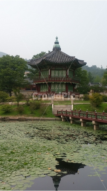 한국,전통,건축물,정자,연못,전통건축물,한국전통,한국문화,korean traditional,korean culture,랜드마크,landmark,tourist attraction,한국랜드마크,한국관광지,한국명소,korea landmark,korea tourist attraction