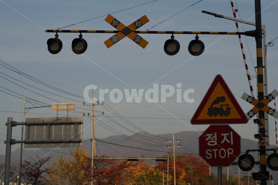 신호등,철길,멈춤,정지,표지판,교통,교통수단,traffic,transportation