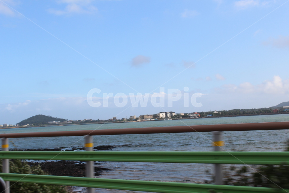 제주,제주도,바다,나무,야자수,여유로움,여유,nature,자연,outdoors,푸른하늘,sky,하늘,ocean,water,sea,물,날씨,난간,handrail,railing