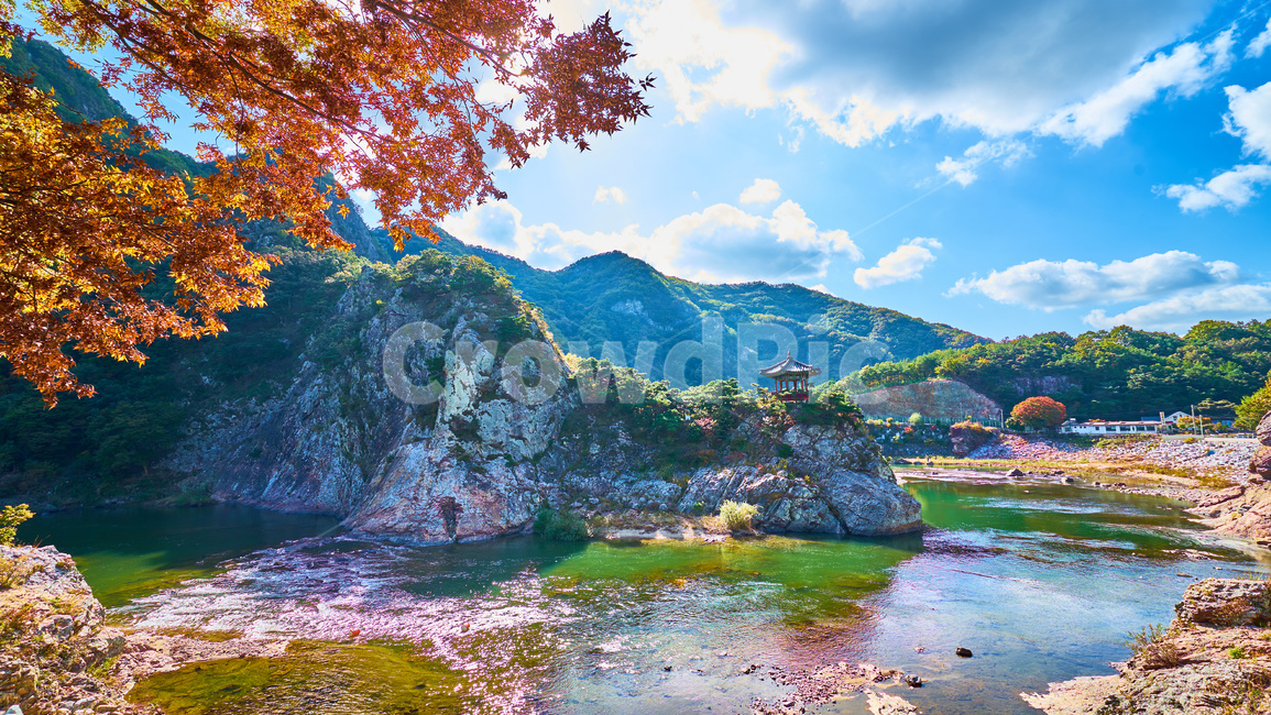 nature,자연,outdoors,단풍,정자,월류봉,자연,풍경,nature,landscape